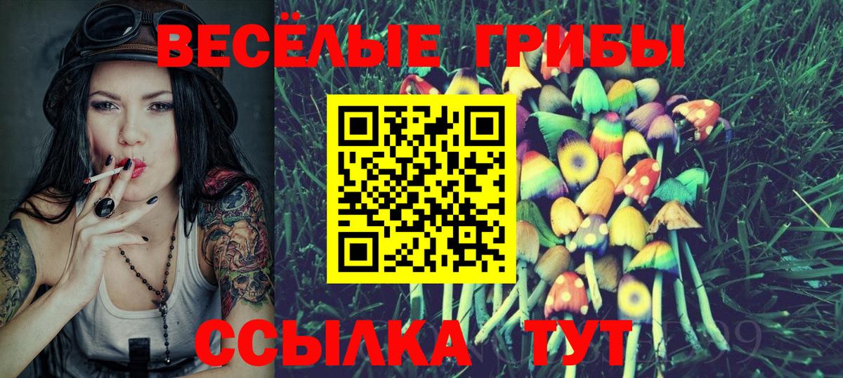 Галлюциногенные грибы мухоморы Орёл