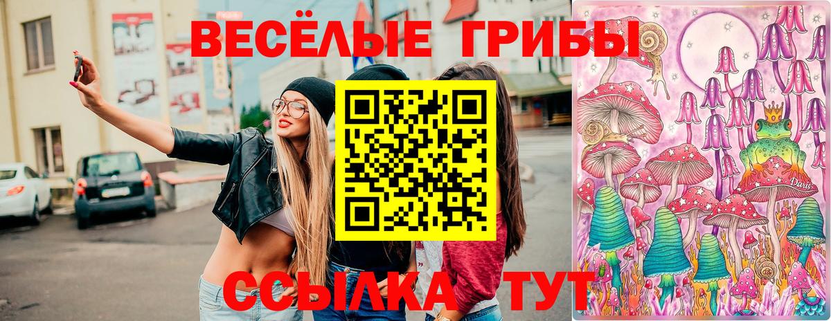 Галлюциногенные грибы GOLDEN TEACHER  Псилоцибиновые грибы GOLDEN TEACHER  Вход с VPN  Орёл 